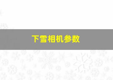 下雪相机参数