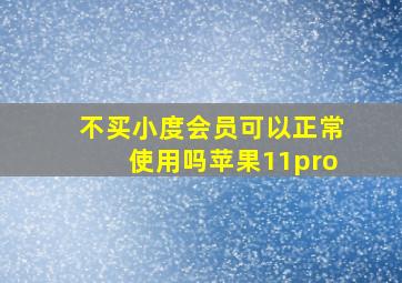 不买小度会员可以正常使用吗苹果11pro