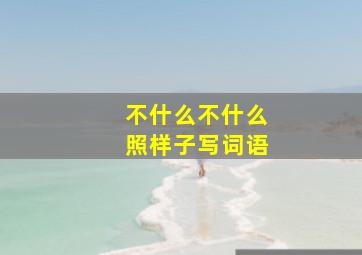 不什么不什么照样子写词语