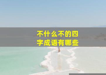 不什么不的四字成语有哪些