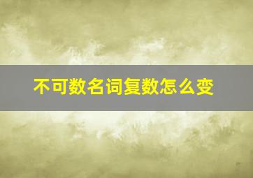 不可数名词复数怎么变