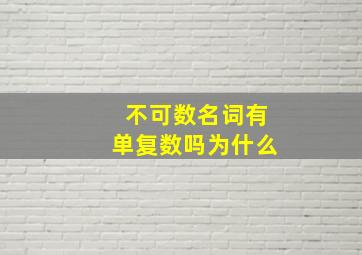 不可数名词有单复数吗为什么