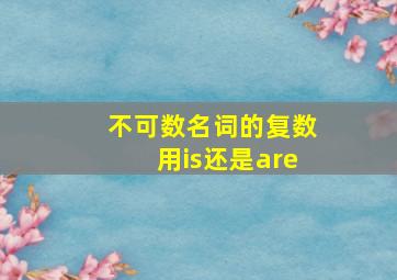 不可数名词的复数用is还是are