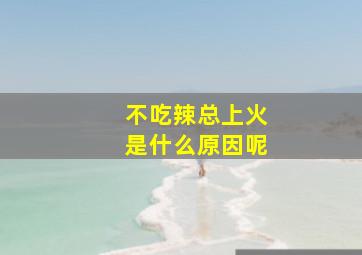 不吃辣总上火是什么原因呢