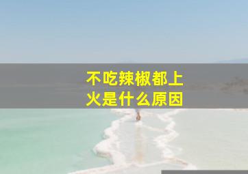 不吃辣椒都上火是什么原因