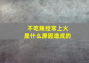 不吃辣经常上火是什么原因造成的