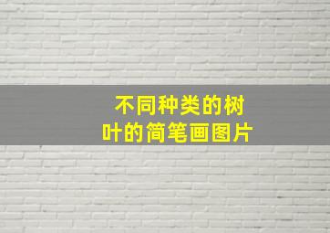 不同种类的树叶的简笔画图片