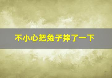 不小心把兔子摔了一下