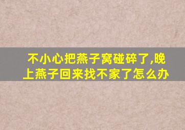 不小心把燕子窝碰碎了,晚上燕子回来找不家了怎么办