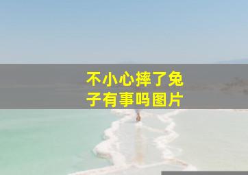 不小心摔了兔子有事吗图片