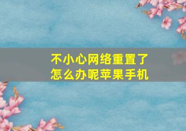 不小心网络重置了怎么办呢苹果手机