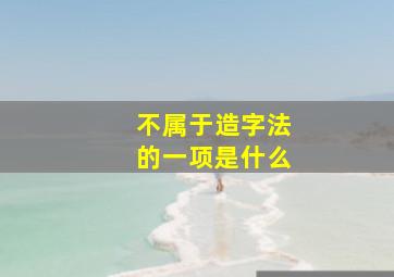 不属于造字法的一项是什么