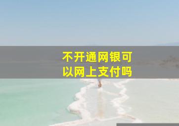 不开通网银可以网上支付吗