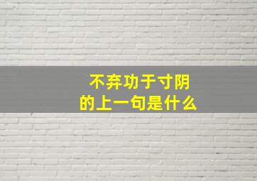 不弃功于寸阴的上一句是什么