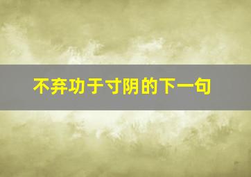 不弃功于寸阴的下一句