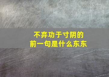 不弃功于寸阴的前一句是什么东东