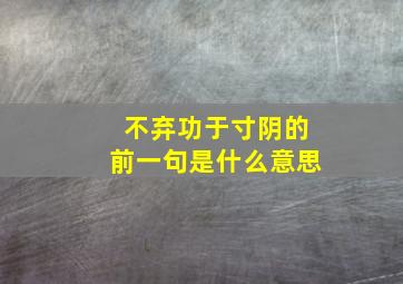 不弃功于寸阴的前一句是什么意思