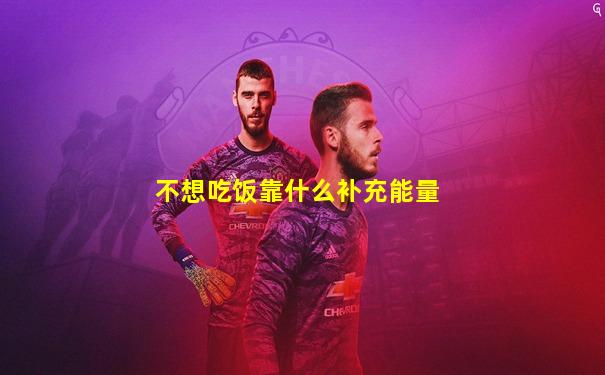 不想吃饭靠什么补充能量
