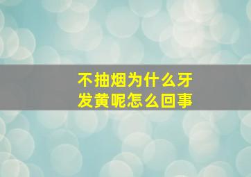 不抽烟为什么牙发黄呢怎么回事