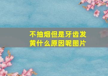 不抽烟但是牙齿发黄什么原因呢图片