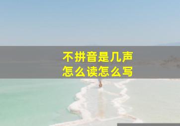 不拼音是几声怎么读怎么写