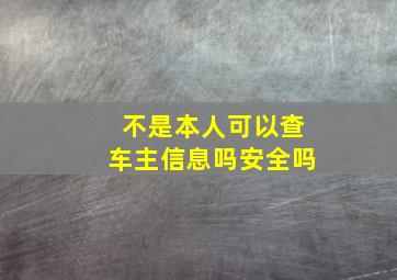 不是本人可以查车主信息吗安全吗