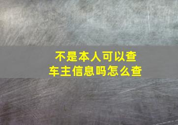 不是本人可以查车主信息吗怎么查