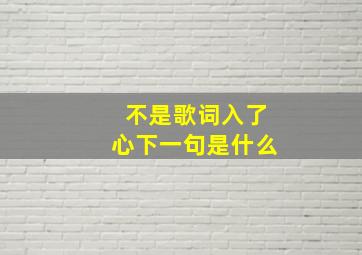 不是歌词入了心下一句是什么