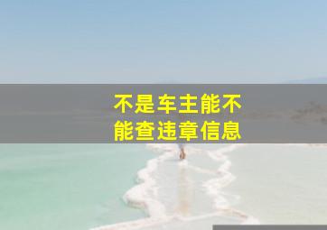 不是车主能不能查违章信息