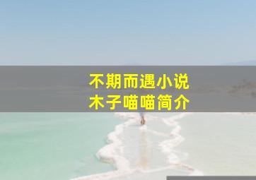 不期而遇小说木子喵喵简介