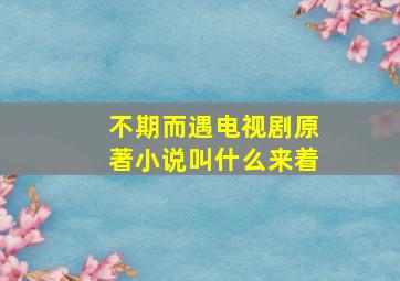 不期而遇电视剧原著小说叫什么来着