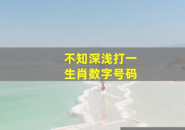 不知深浅打一生肖数字号码