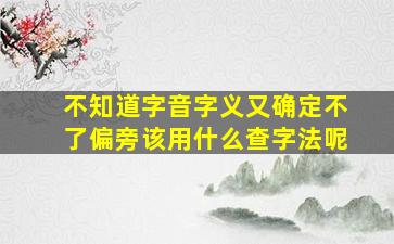 不知道字音字义又确定不了偏旁该用什么查字法呢