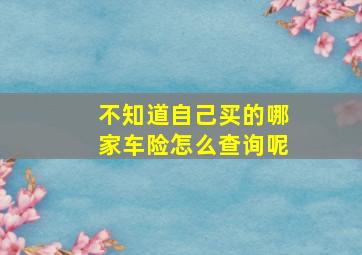 不知道自己买的哪家车险怎么查询呢