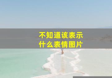 不知道该表示什么表情图片