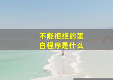 不能拒绝的表白程序是什么