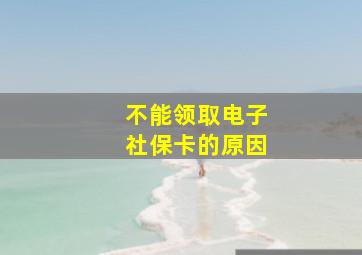 不能领取电子社保卡的原因