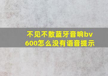 不见不散蓝牙音响bv600怎么没有语音提示