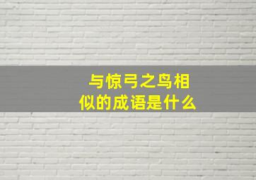 与惊弓之鸟相似的成语是什么