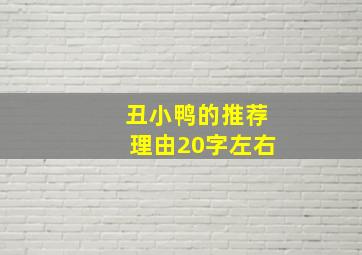 丑小鸭的推荐理由20字左右