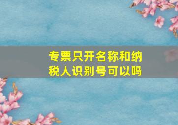 专票只开名称和纳税人识别号可以吗