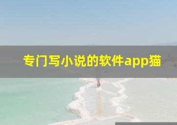 专门写小说的软件app猫