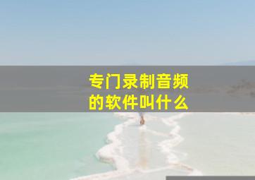 专门录制音频的软件叫什么