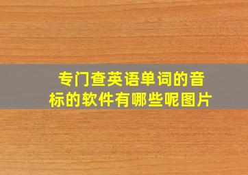 专门查英语单词的音标的软件有哪些呢图片