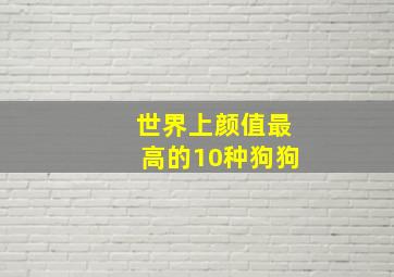 世界上颜值最高的10种狗狗