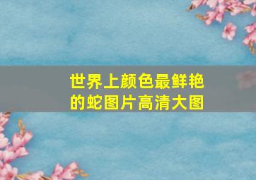 世界上颜色最鲜艳的蛇图片高清大图