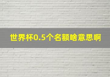 世界杯0.5个名额啥意思啊