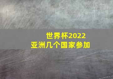 世界杯2022亚洲几个国家参加