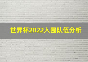 世界杯2022入围队伍分析