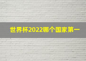 世界杯2022哪个国家第一